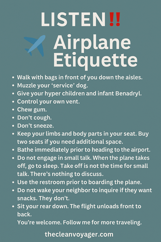 ✈️ "You're Not at Home, Karen: A Comical Crash Course in Airplane Etiquette