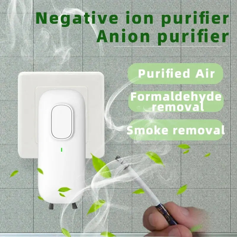 Ion Purifier