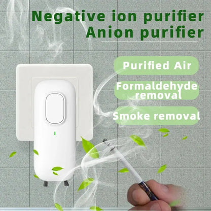 Ion Purifier